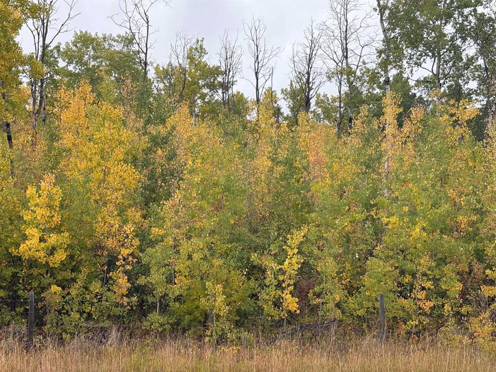  12 Foot Davis Road  , A2259155, Alberta,