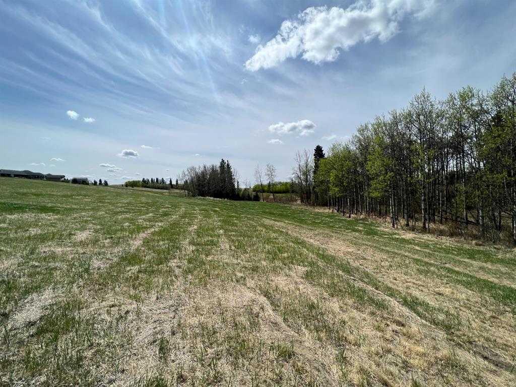 Fifth View of 143 Wolf Run Drive  , NONE, Ponoka, Alberta, T4J 1R3