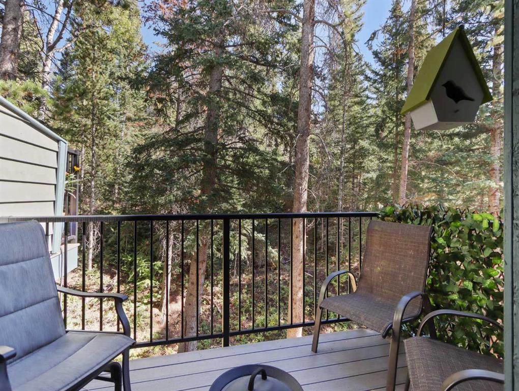 Fifth View of 24, 242 Benchlands Terrace , Benchlands, Canmore, Alberta, T1W1E9