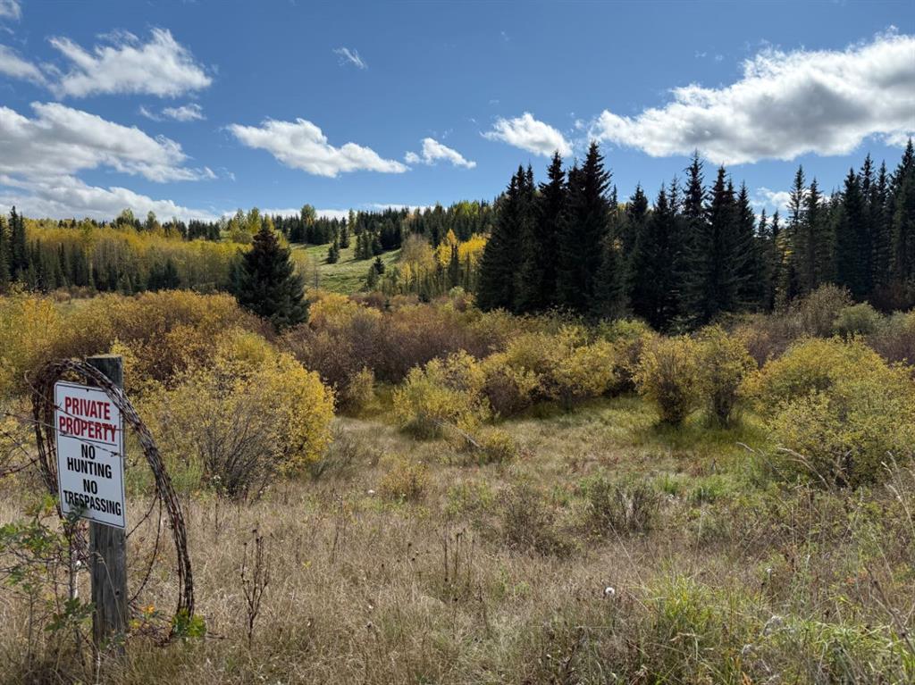 Lot 4 Jamieson Road , A2259831, Alberta,
