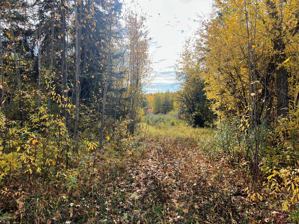 21, 704010 Range Road 64  , A2261934, Alberta,