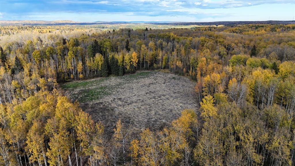 Third View of  RANGE ROAD 182  , NONE, Rural Yellowhead County, Alberta, T7E 3T9