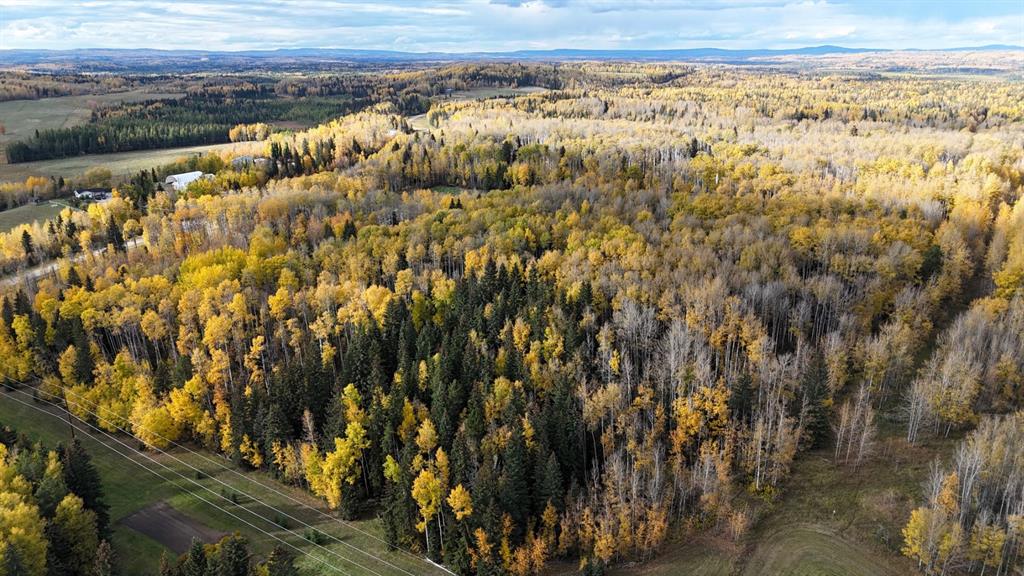 Fifth View of  RANGE ROAD 182  , NONE, Rural Yellowhead County, Alberta, T7E 3T9