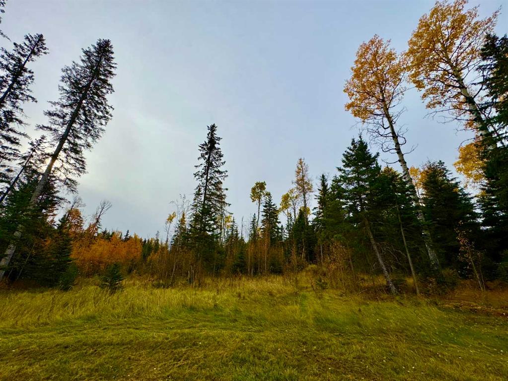 103 Meadow Ponds Drive , A2264692, Alberta,