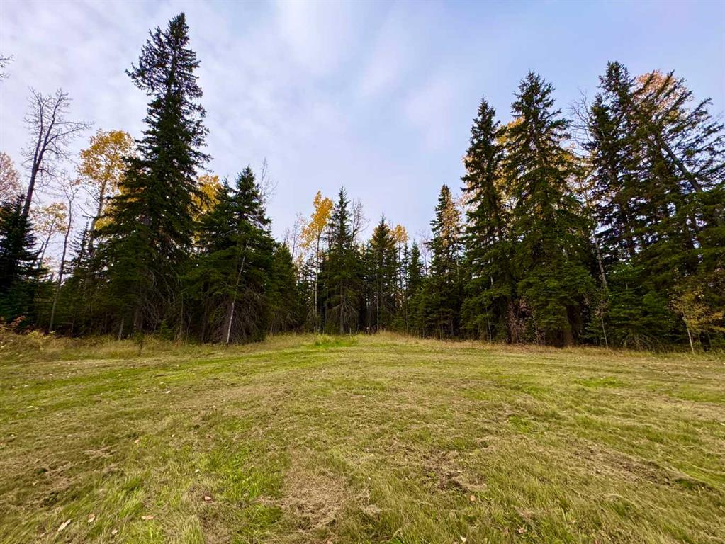 Fifth View of 111 Meadow Ponds Drive , Diamond Willow Estates, Rural Clearwater County, Alberta, T4T 1A7