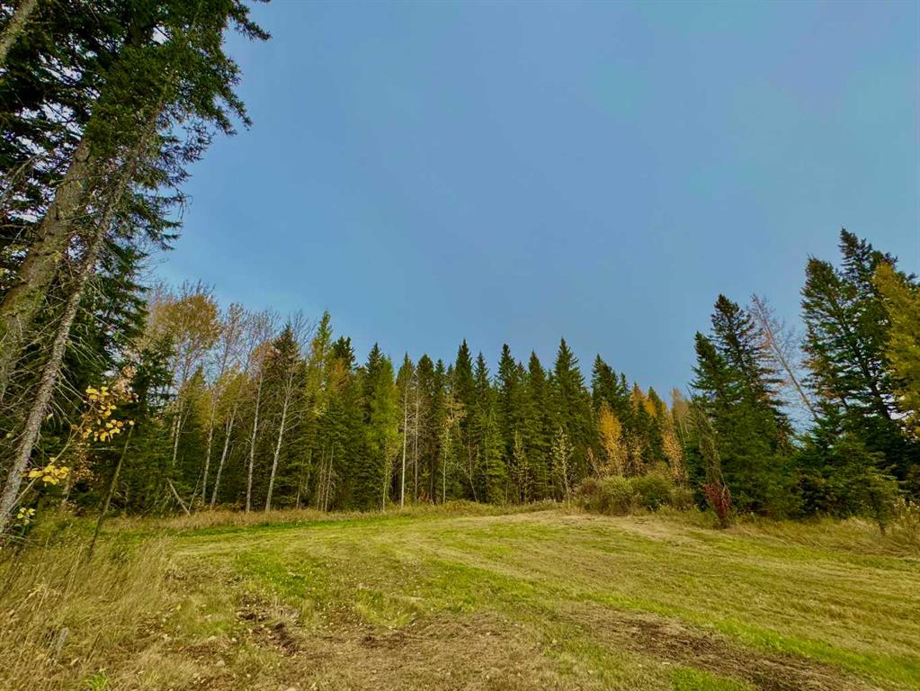 Fourth View of 157 Meadow Ponds Drive , Diamond Willow Estates, Rural Clearwater County, Alberta, T4T1A7