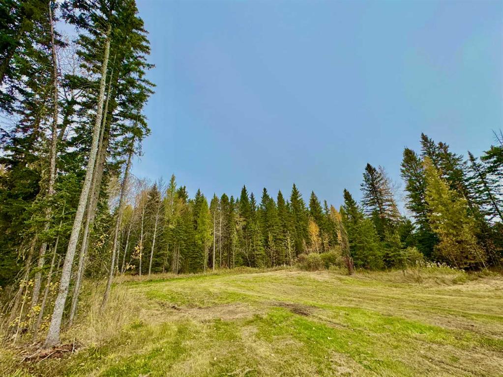 Fifth View of 157 Meadow Ponds Drive , Diamond Willow Estates, Rural Clearwater County, Alberta, T4T1A7