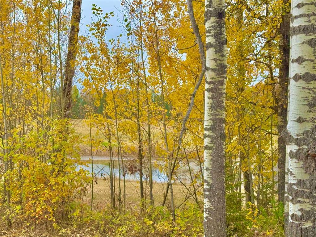 417 Valley View Close , A2264705, Alberta,