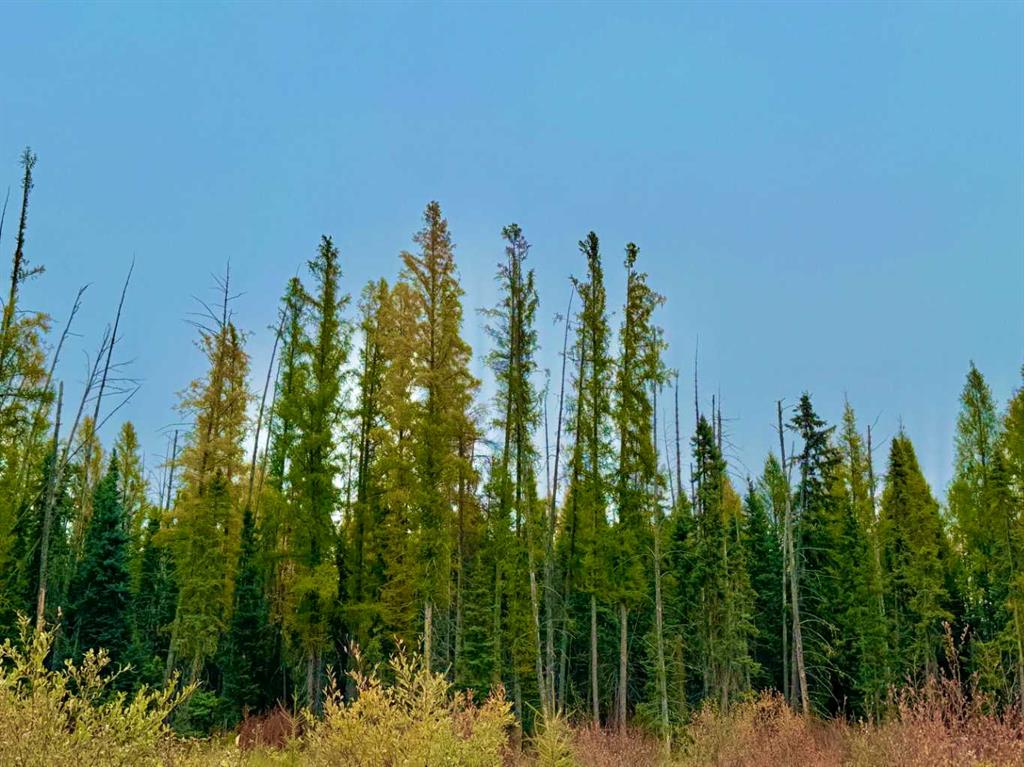 Third View of 408 Valley View Close , Diamond Willow Estates, Rural Clearwater County, Alberta, T4T 1A7