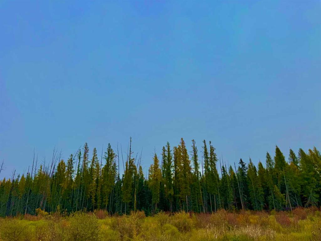 Fifth View of 408 Valley View Close , Diamond Willow Estates, Rural Clearwater County, Alberta, T4T 1A7