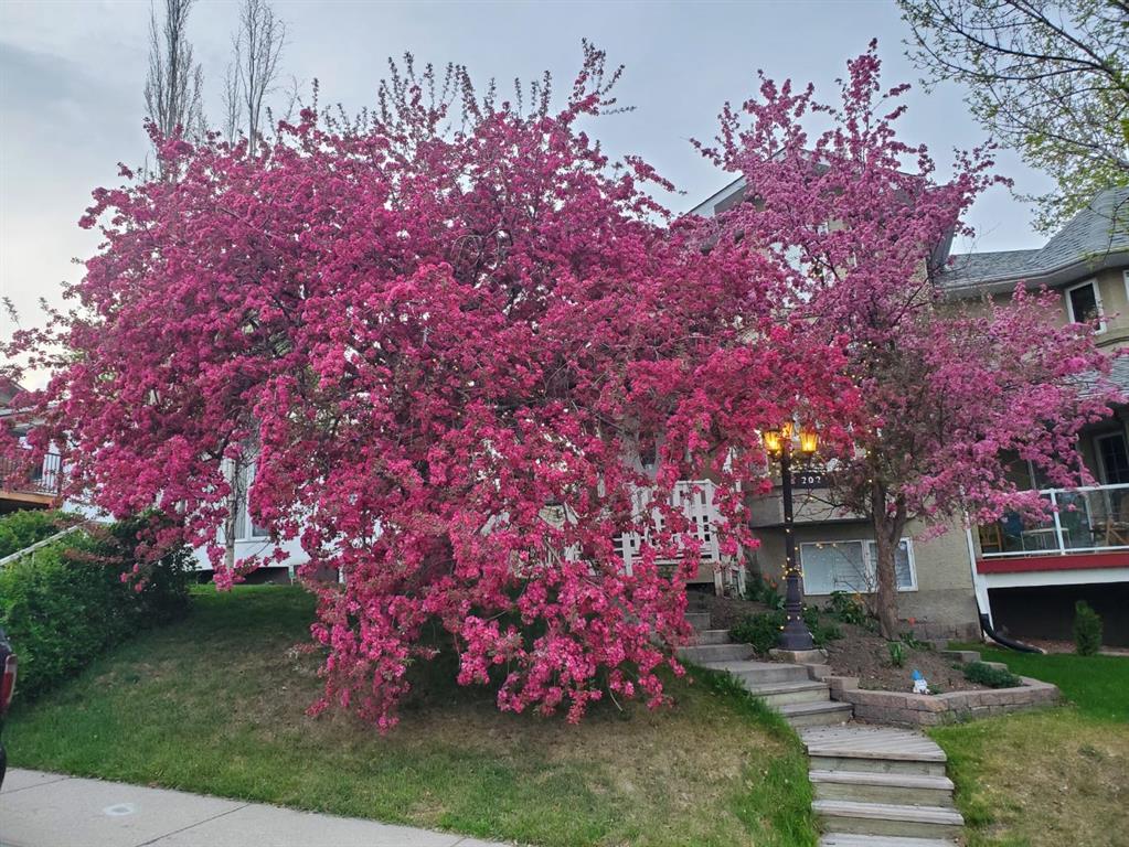 Fifth View of 202 30 Avenue NW, Tuxedo Park, Calgary, Alberta, T2M 2N2