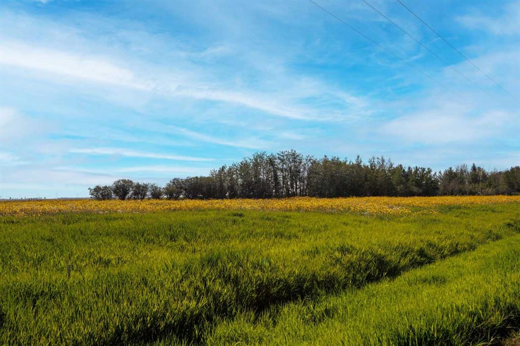  RGE RD 292  , A2264806, Alberta,