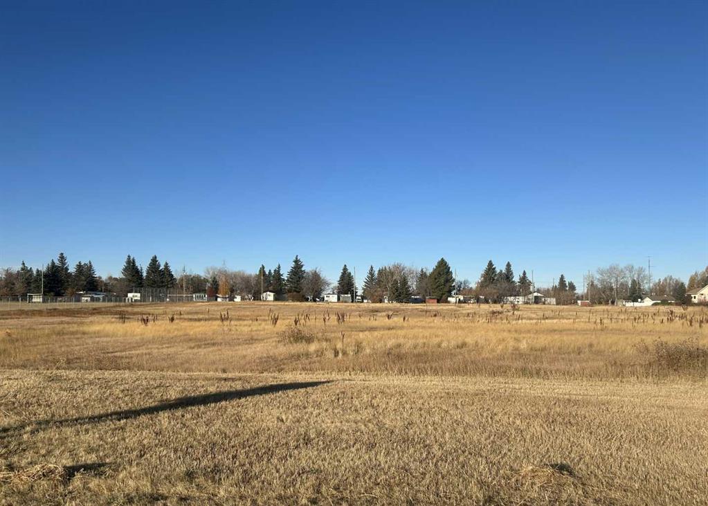 Fifth View of 711 11 Avenue NE  , NONE, Three Hills, Alberta, T0M 2N0