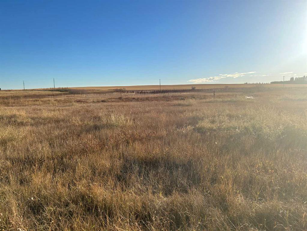 Fourth View of 700 11 Ave NE  , NONE, Three Hills, Alberta, T0M 2N0