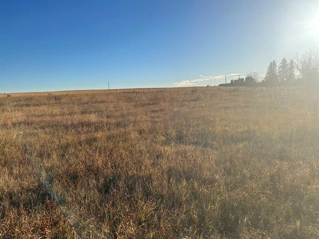 Fifth View of 700 11 Ave NE  , NONE, Three Hills, Alberta, T0M 2N0