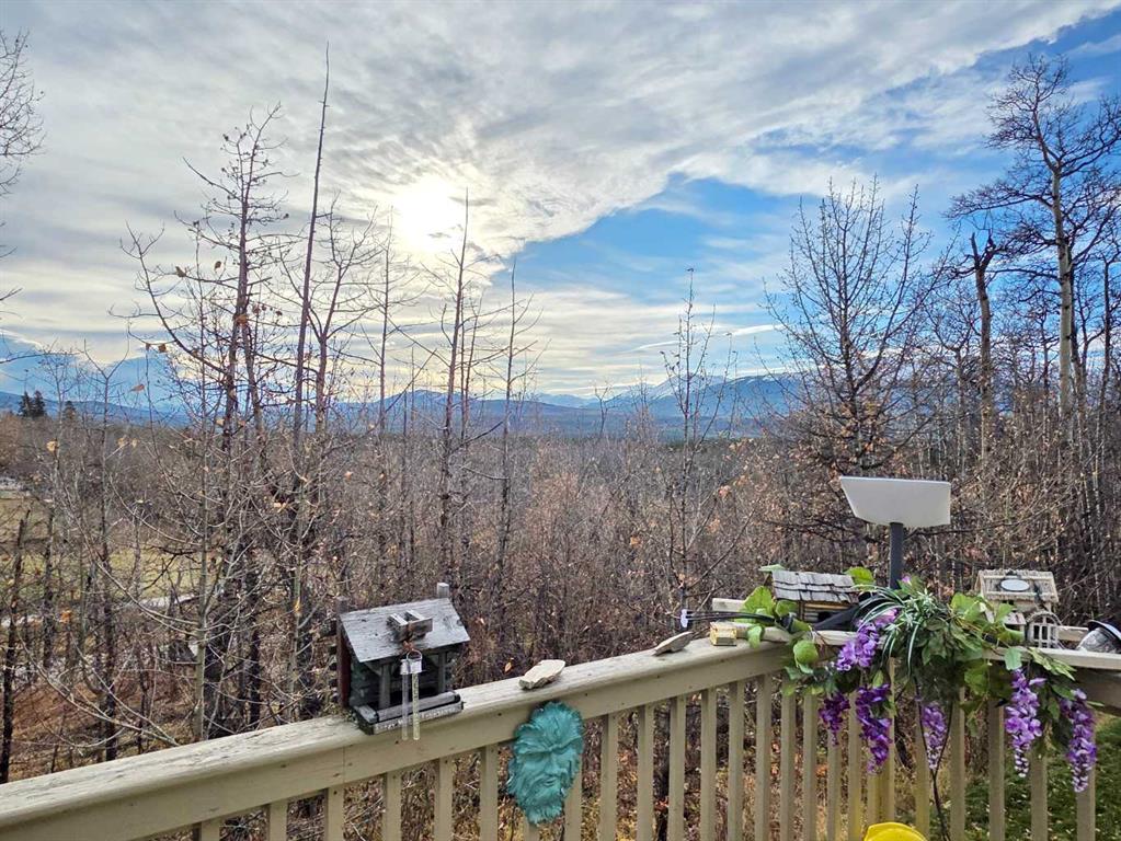 Fifth View of 9, 131 Moberly Road , NONE, Grande Cache, Alberta, T0E 0Y0