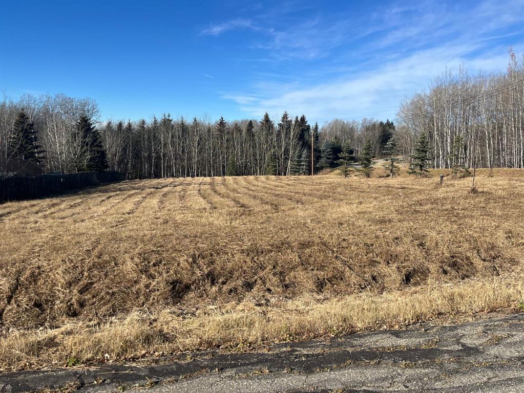 on Zion Road  , A2267150, Alberta,