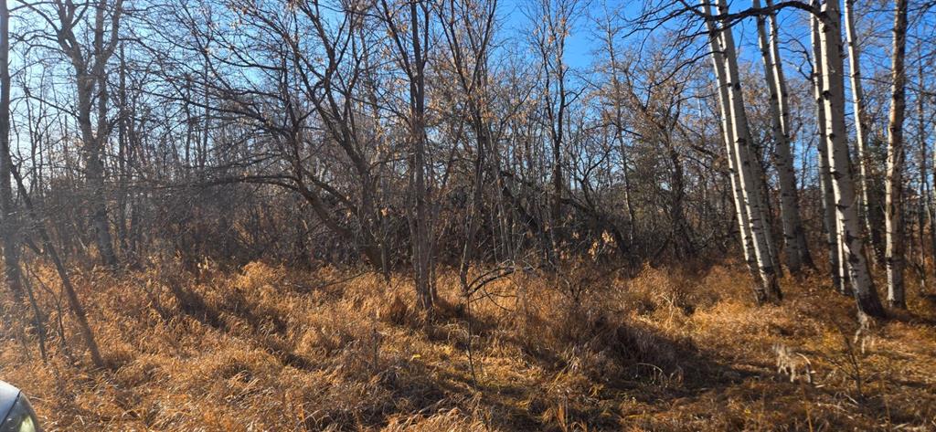 Third View of 4832 46 Street , NONE, Mirror, Alberta, T0B3C0