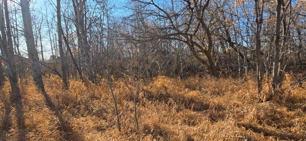 Fourth View of 4832 46 Street , NONE, Mirror, Alberta, T0B3C0