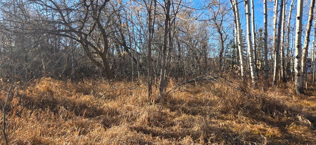 Fifth View of 4832 46 Street , NONE, Mirror, Alberta, T0B3C0