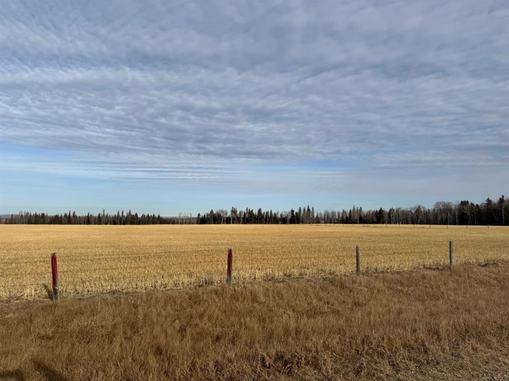 Fourth View of 39-3 Township Road  , NONE, Rural Clearwater County, Alberta, T0M 0C0