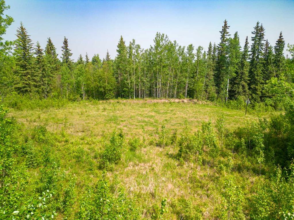 Fourth View of Lot 16 Estates of East Mountain  , NONE, Rural Woodlands County, Alberta, T7S 1N9