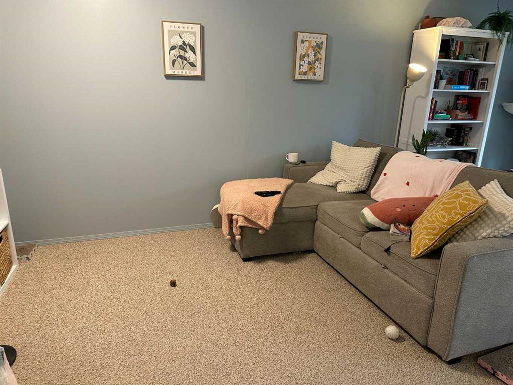 Fifth View of A & B, 4923 53 Street , NONE, Rocky Mountain House, Alberta, T4T1E5