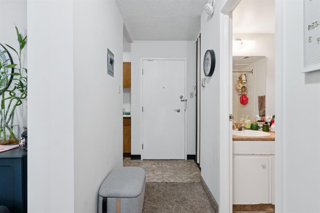 Fifth View of 313, 339 13 Avenue SW, Beltline, Calgary, Alberta, T2R 0K3