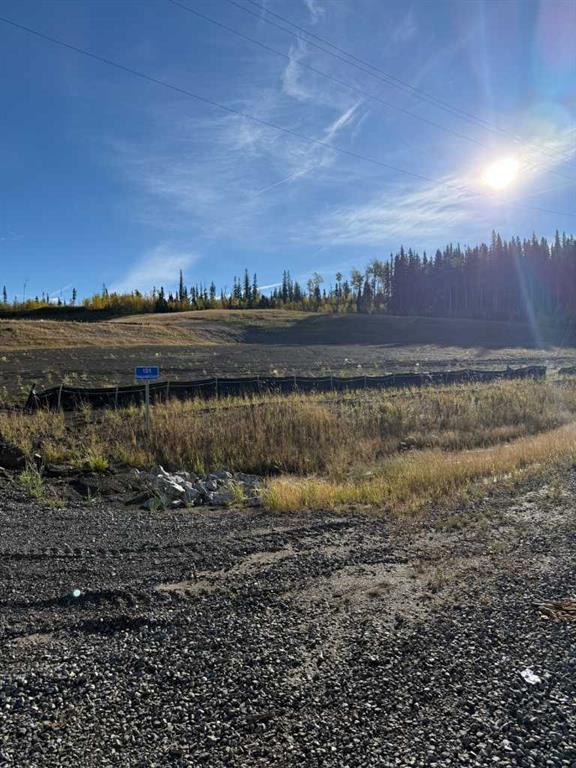 101 Nordegg Industrial Crescent , A2272117, Alberta,