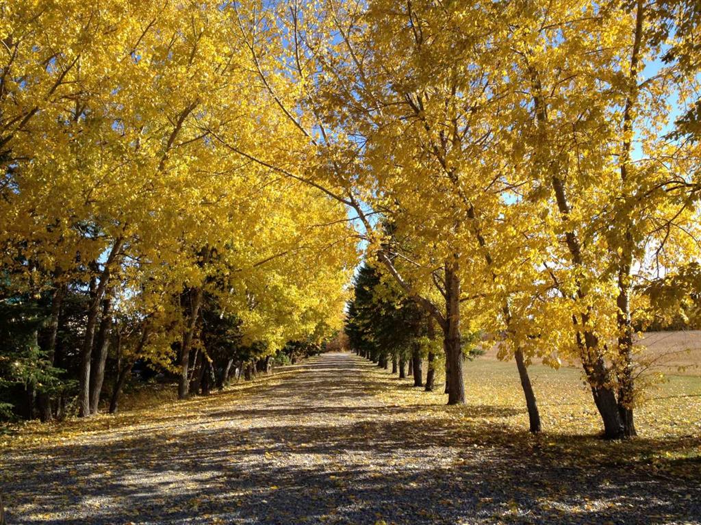 Third View of 200, 202035 80 Street W, NONE, Rural Foothills County, Alberta, T1S0S2