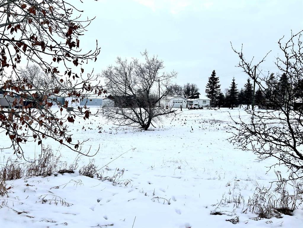 Fifth View of 114 Alberta Avenue S, NONE, Swalwell, Alberta, T0M 1Y0