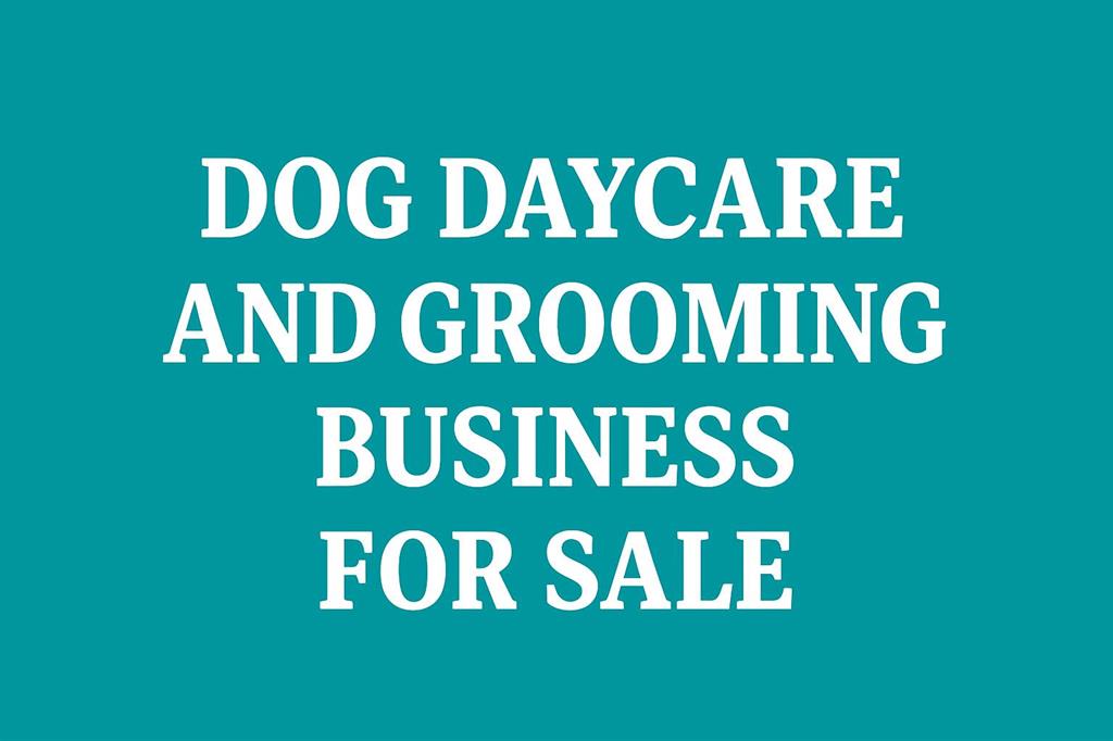 444 Dog Daycare Avenue SW, A2273427, Alberta,