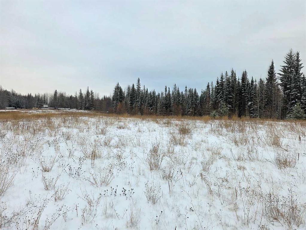 Third View of 5, 64009 704 Township , The Ranch, Rural Grande Prairie No. 1, County of, Alberta, T8X5C3