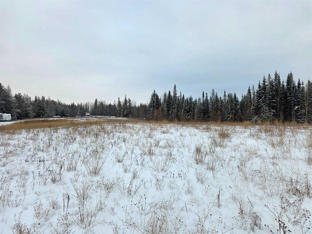 Fourth View of 5, 64009 704 Township , The Ranch, Rural Grande Prairie No. 1, County of, Alberta, T8X5C3