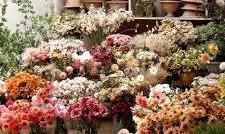 2114 54 Avenue SW, A2274194, Alberta,