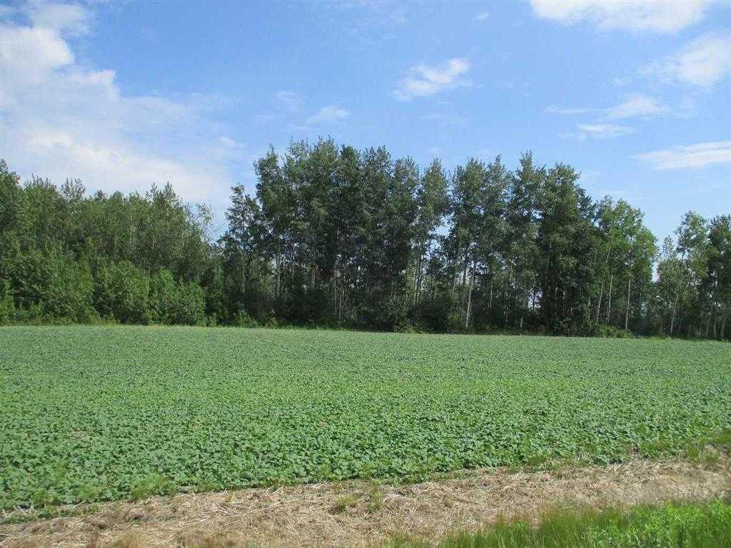 Fourth View of NW-9-89-21-W5 Deadwood  , NONE, Rural Northern Lights, County of, Alberta, T0H1A0