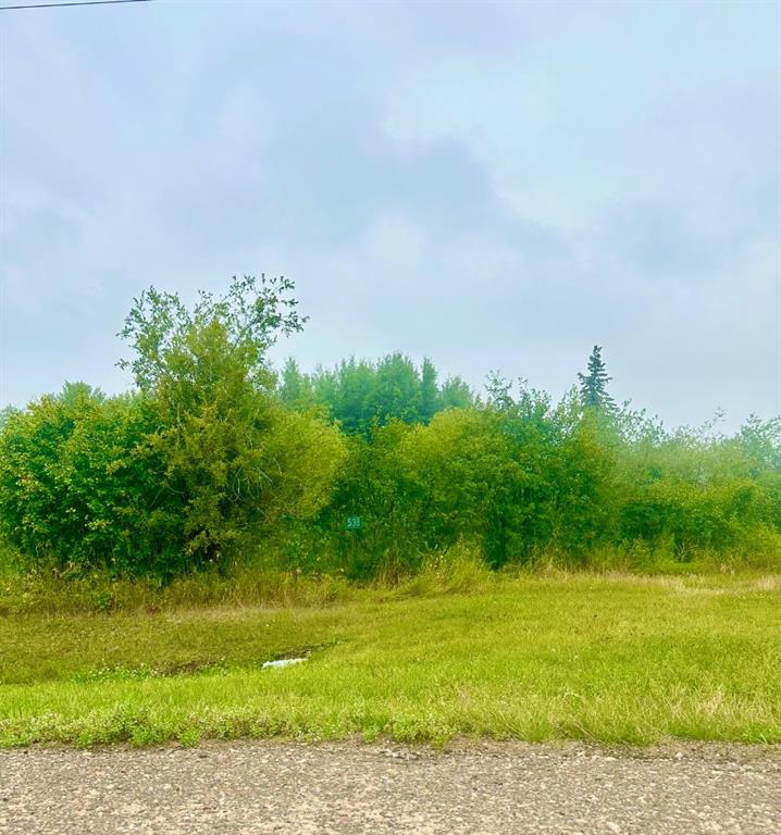 Fourth View of 538, 13221 TWP RD 680 Township , Lac La Biche, Lac La Biche, Alberta, T0A 2C0