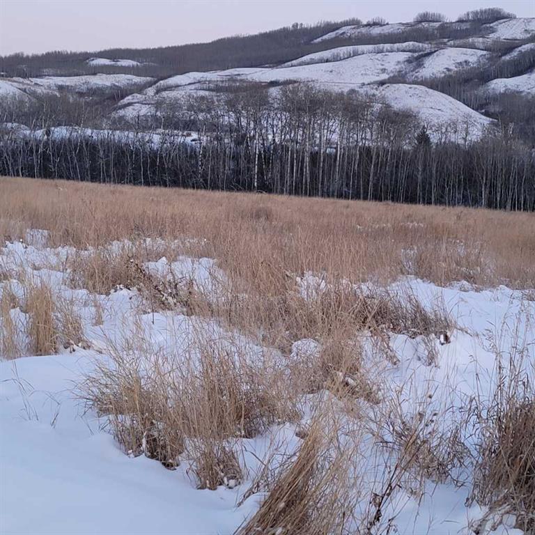 70 Ave 98 Street , A2274640, Alberta,