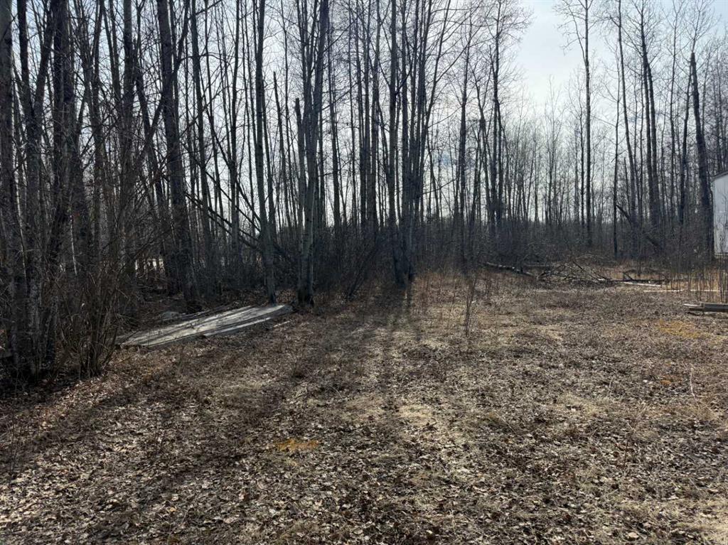 Fifth View of 154 Poplar Drive , Conklin, Conklin, Alberta, T0P1H1