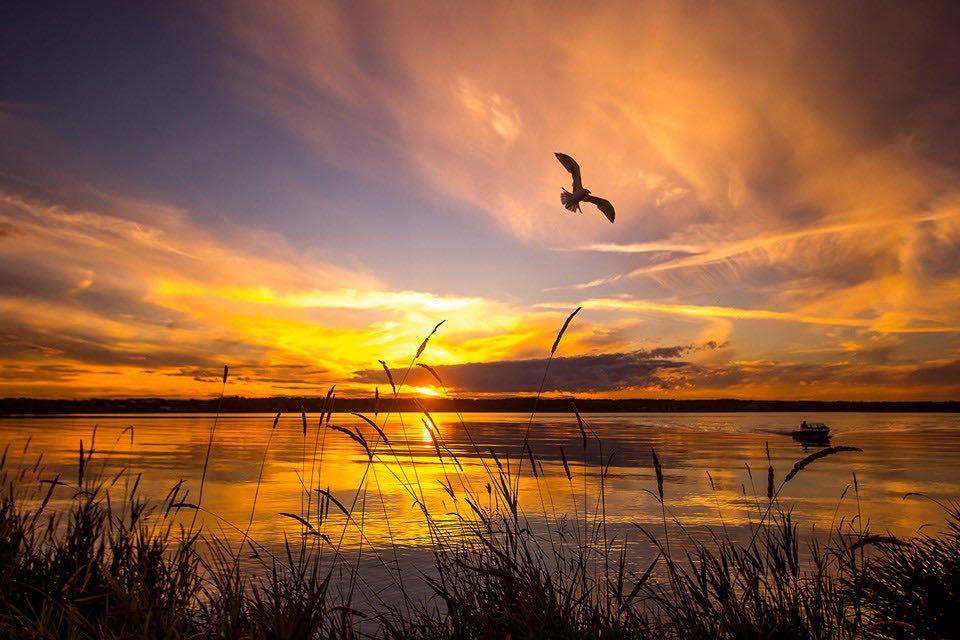 Second View of 0 Old Trail , NONE, Rural Lac La Biche County, Alberta, T0A2C2