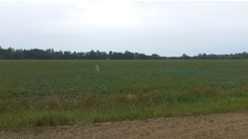 5709 53 Avenue , A2276021, Alberta,