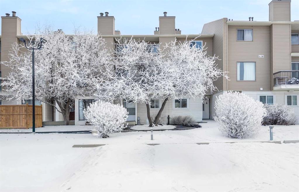 Third View of 3, 2519 38 Street NE, Rundle, Calgary, Alberta, T1Y 4W8