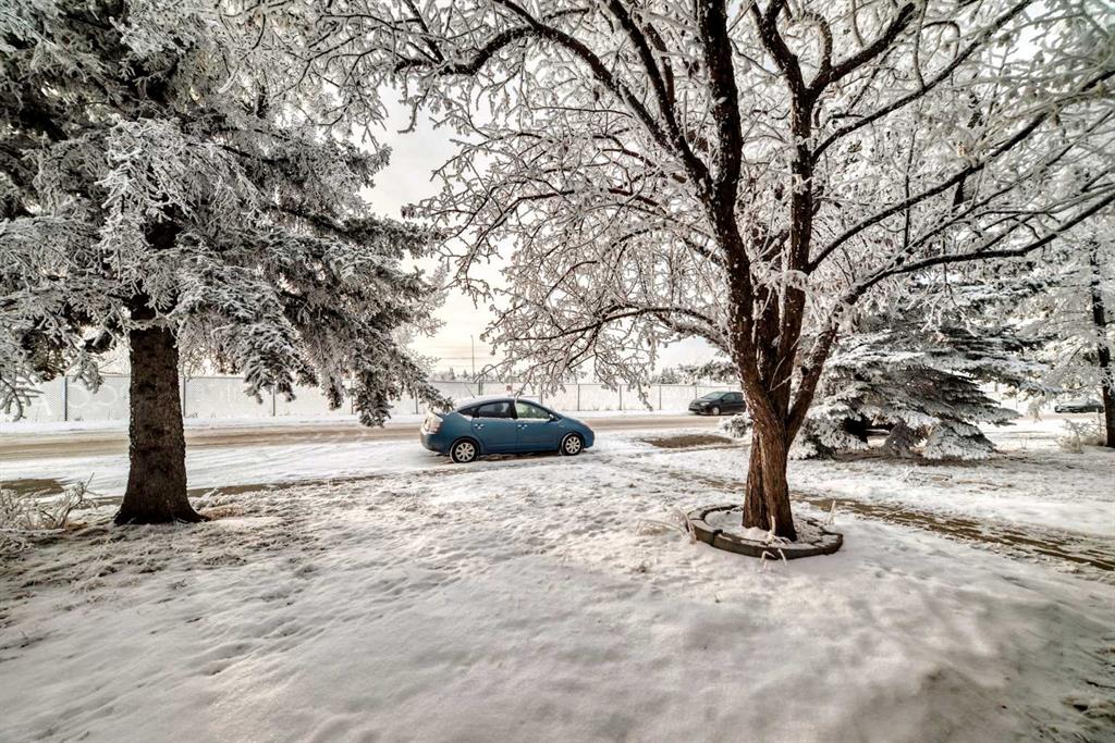 Third View of 203 Falwood Way NE, Falconridge, Calgary, Alberta, T3J1A9