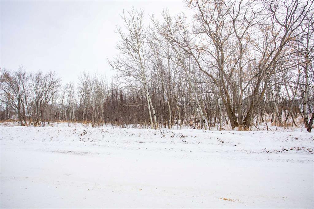 Third View of 5219 50 Street , NONE, Mirror, Alberta, T0B 3C0