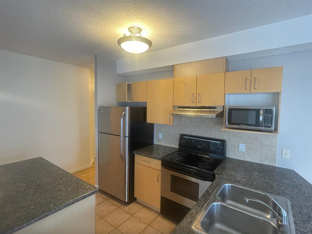 Fourth View of 507, 108 15 Avenue SE, Beltline, Calgary, Alberta, T2G 5R9