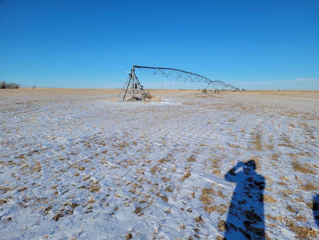 Fourth View of  Township Road 122  , NONE, Rural Forty Mile No. 8, County of, Alberta, T0J 3L0