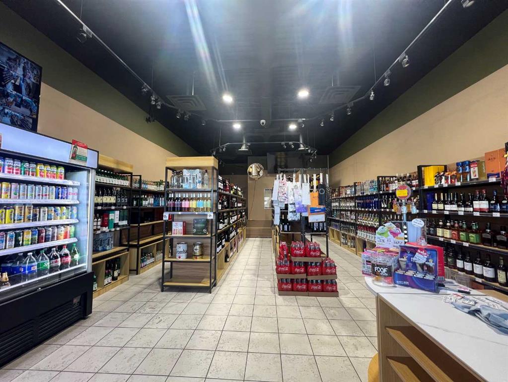 Third View of Calgary, Alberta