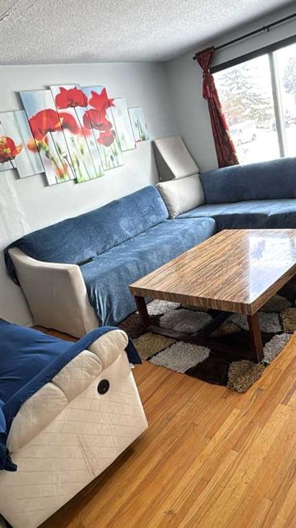 Fourth View of 19 Margate Place NE, Marlborough, Calgary, Alberta, t2a3e4