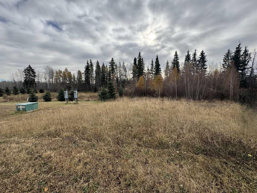 9, 15015 Township Road 424 Township , A2279272, Alberta,