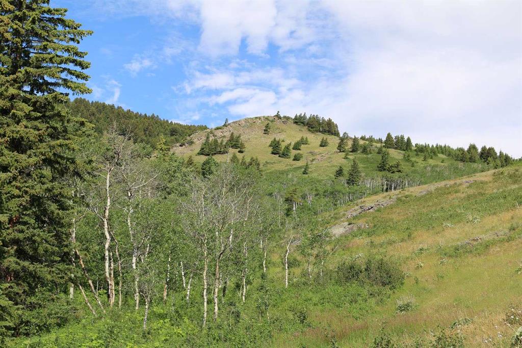 Fourth View of none Hwy 774  , NONE, Beaver Mines, Alberta, T0K 1W0